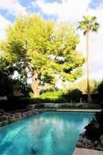 Paradise Valley Rental